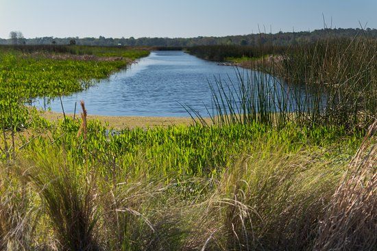 Sweetwater Wetlands Park